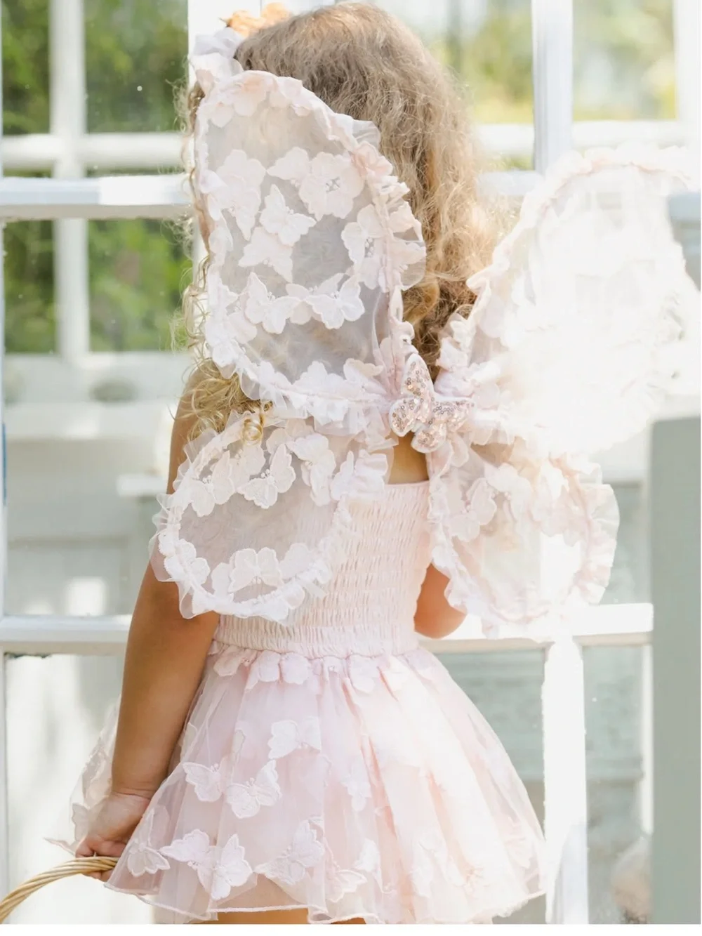 Noralee Butterfly Tutu Dress with Floral Appliqué